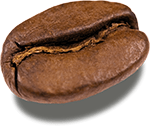 coffee bean